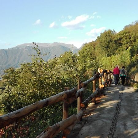 Agriturismo Cascina Lert Мароне Экстерьер фото